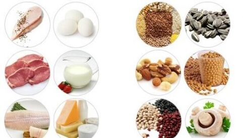 Foods that are high in animal and vegetable proteins for male activity
