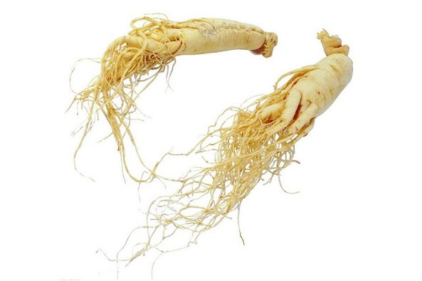 Ginseng root - a folk medicine to increase masculinity